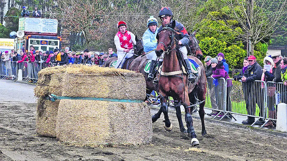Forget Cheltenham, All-Ireland road trotting title is up for grabs Image