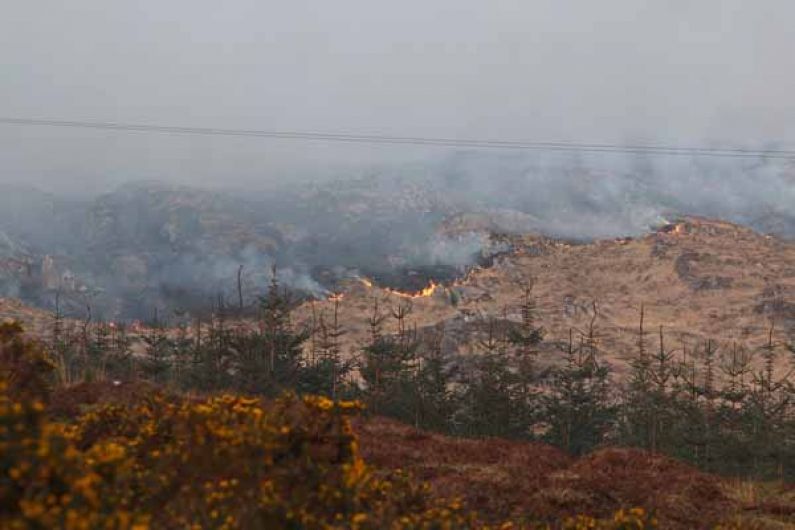 Gorse fires rage on Mizen Peninsula Image