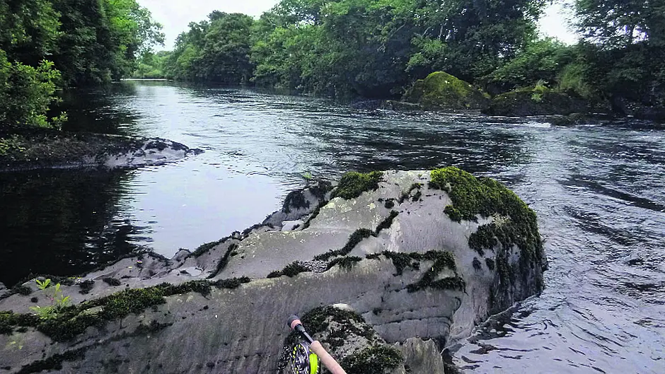 Ilen club encourages local anglers to join Image