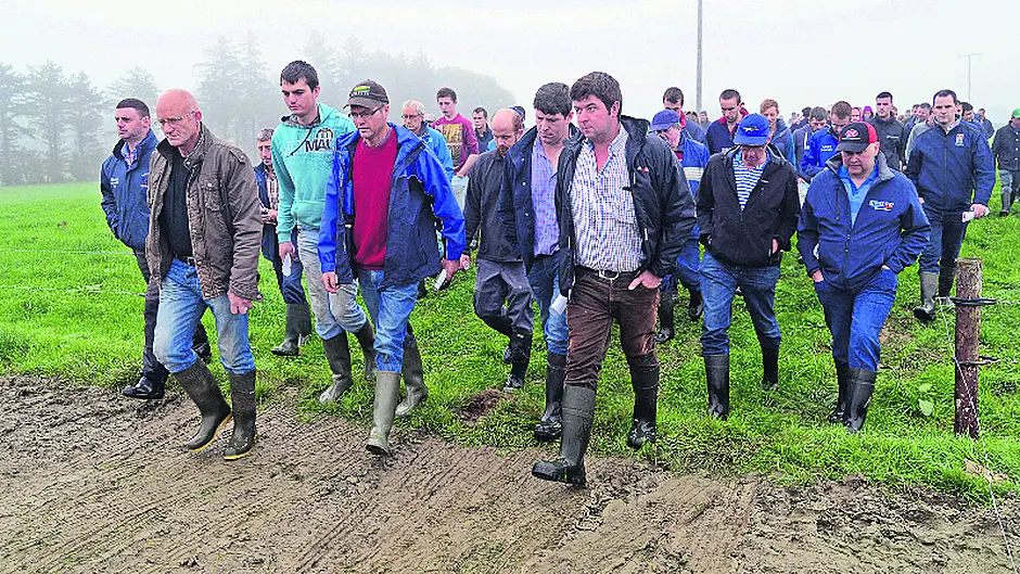 Managing our grassland better to  exploit competitive advantage Image