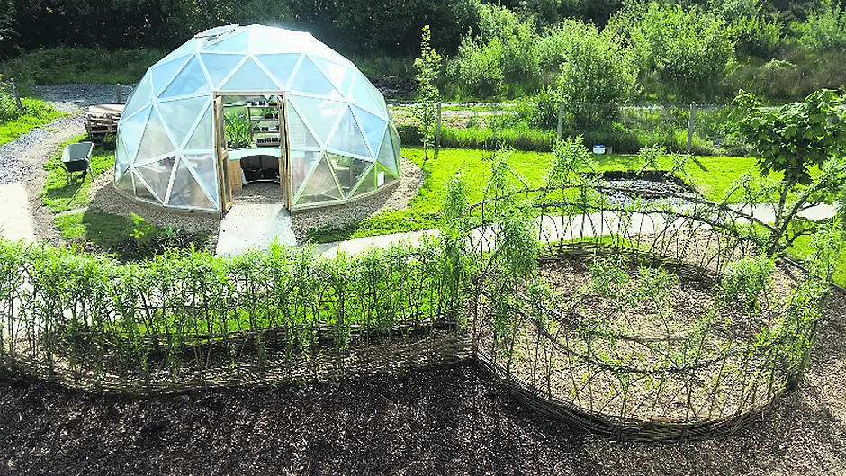 Combining nature with nurture Image