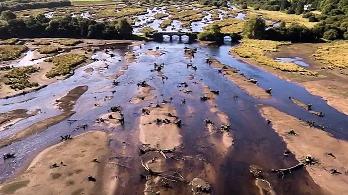 WATCH: Stunning aerial footage of The Gearagh's eerie landscape by local photographer Image