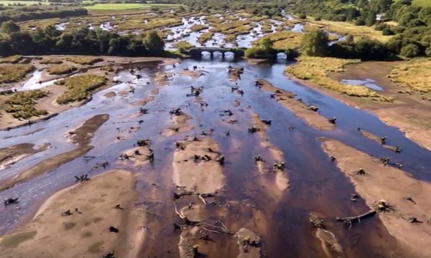 WATCH: Stunning aerial footage of The Gearagh's eerie landscape by local photographer Image