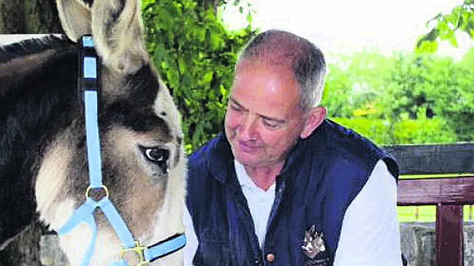 Councillors query wisdom of taking charge of wild horses Image