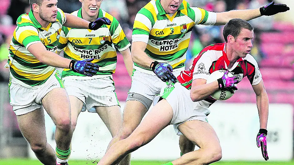 Paddy Kelly: Why he's worth the entrance fee alone Image