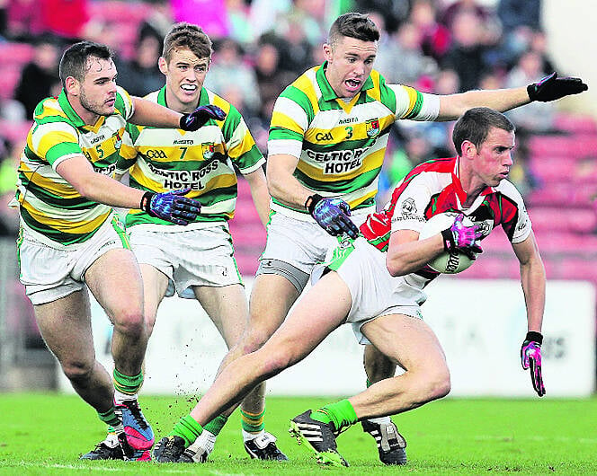 Paddy Kelly: Why he's worth the entrance fee alone Image