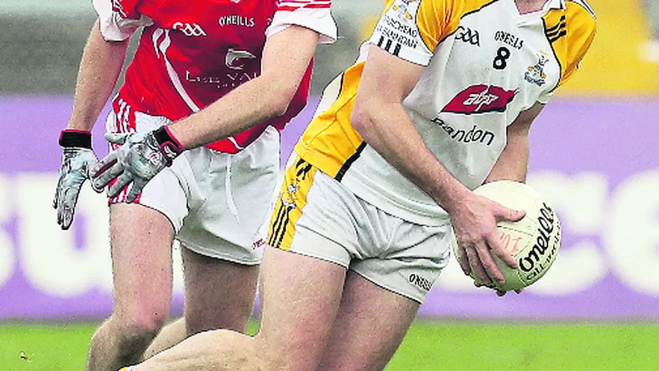 Lucey stays grounded ahead of big challenge Image