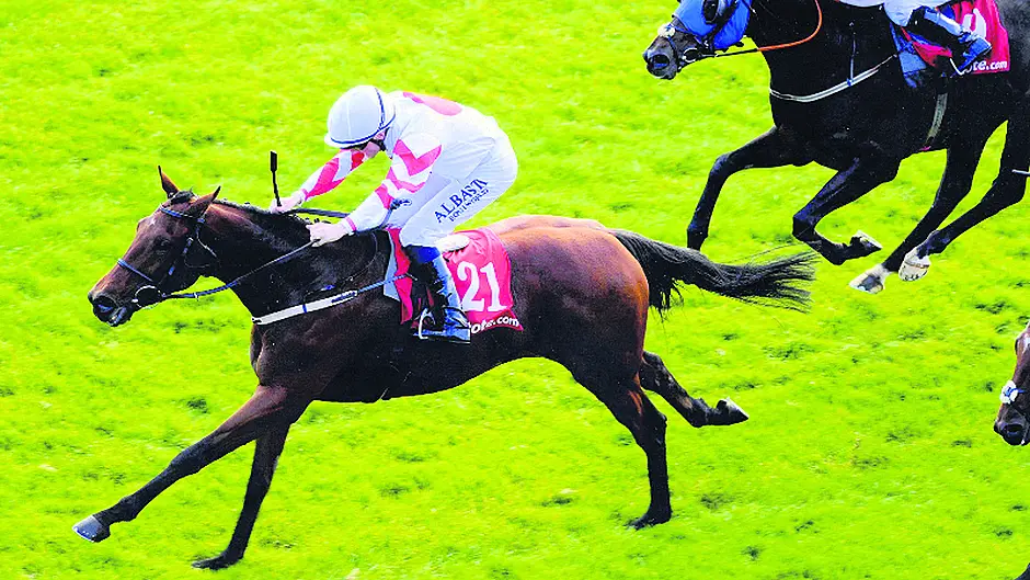 Billy and Bertie in a Spin after their biggest win Image