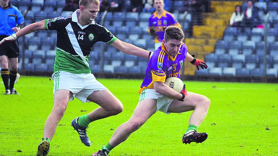 ‘Well worth the wait' says Luke Nolan Image