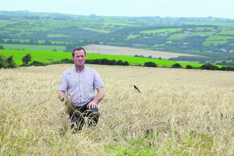 To sow or not to sow – the dilemma  facing West Cork tillage farmers Image