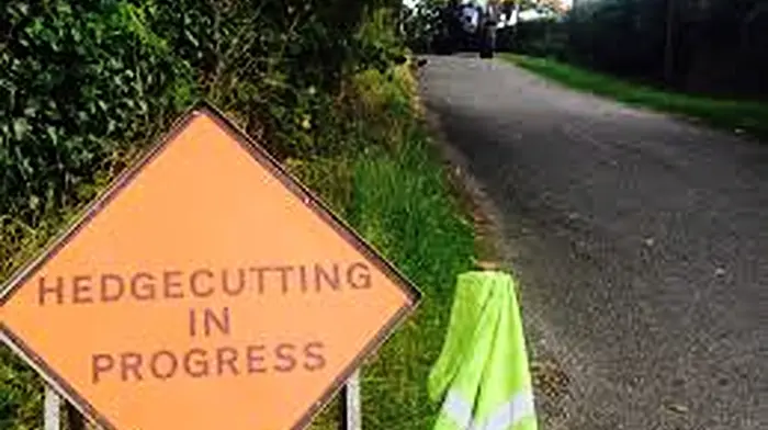 Hedge scheme's appeal ‘growing' Image