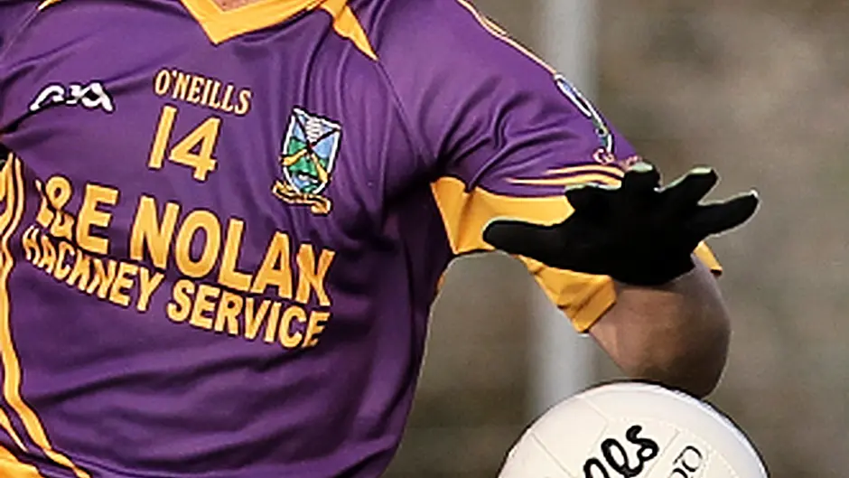 Eddie Goggin and Kevin Coffey win Carbery Footballer and Hurler of the Year awards Image