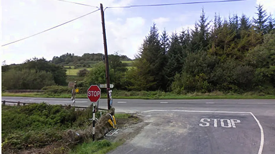 Woman (74)died within days of N71 collision Image