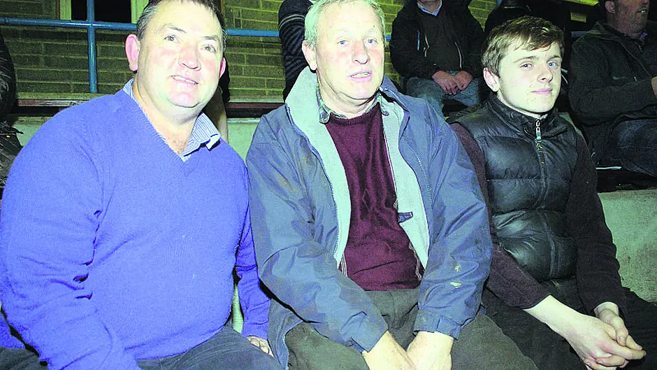 Informative event  in Skibbereen for  suckler farmers Image