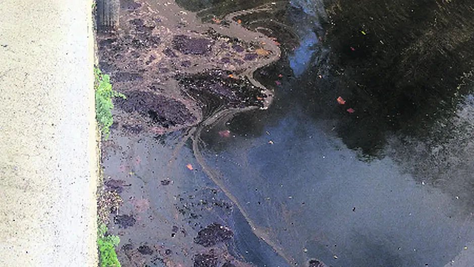 Anger at ‘slurry' in Roaringwater Bay Image
