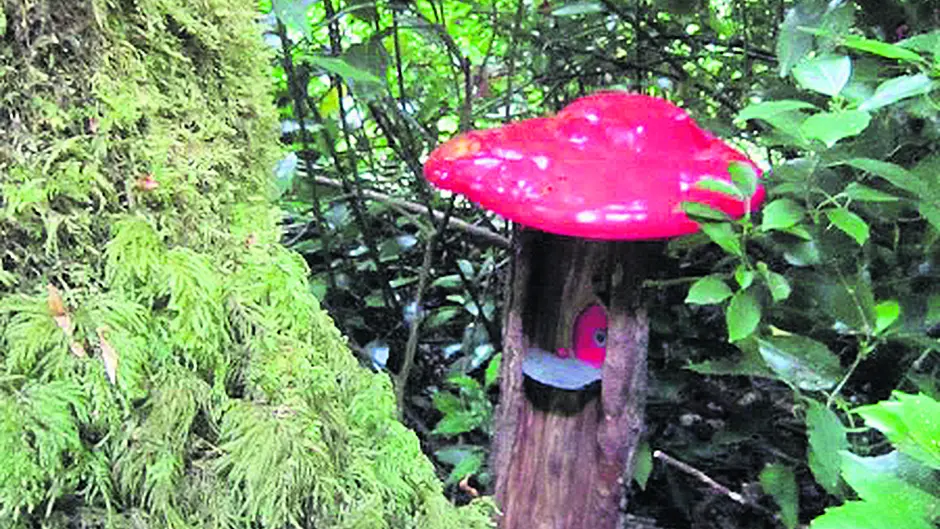 Forlorn fairies find a new fortress Image