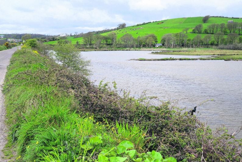 Why we should be shouting about Clonakilty's incredible wetlands Image