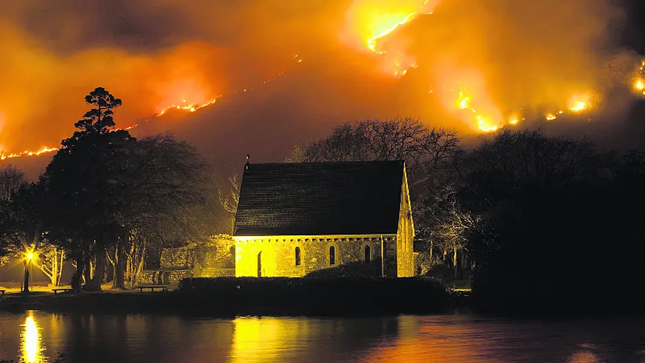 Animals were the real victims of ‘misguided and destructive' blaze Image