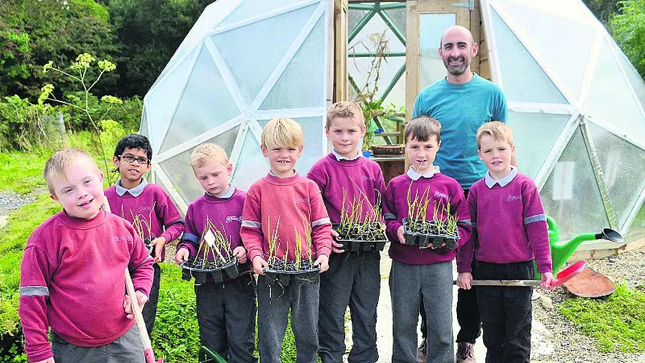 Skibbereen school garden project shortlisted for Get Involved award Image