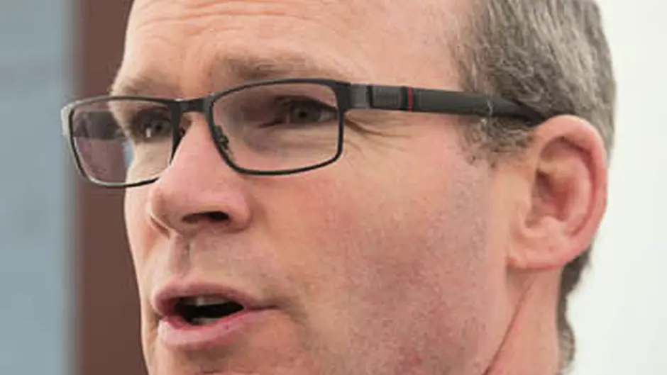 Housing body will be taken to task over Carrigaline Image