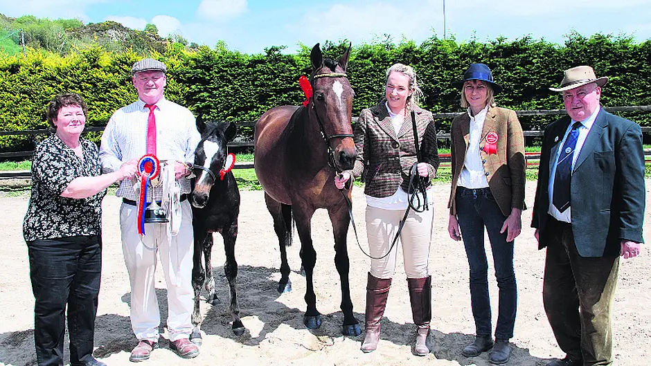 Leap Show held in beautiful sunshine Image