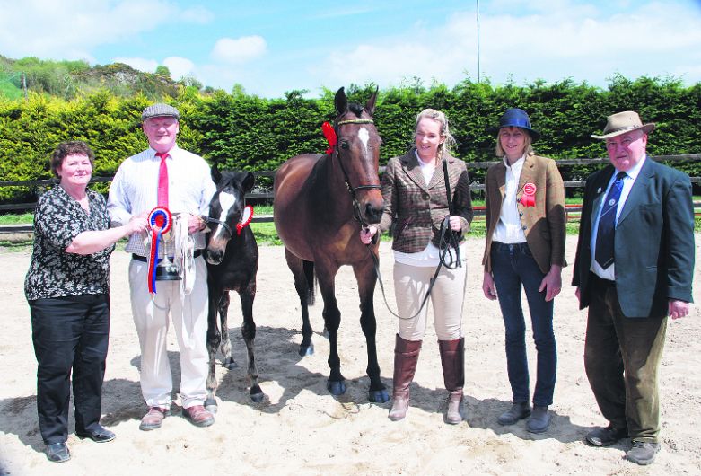 Leap Show held in beautiful sunshine Image