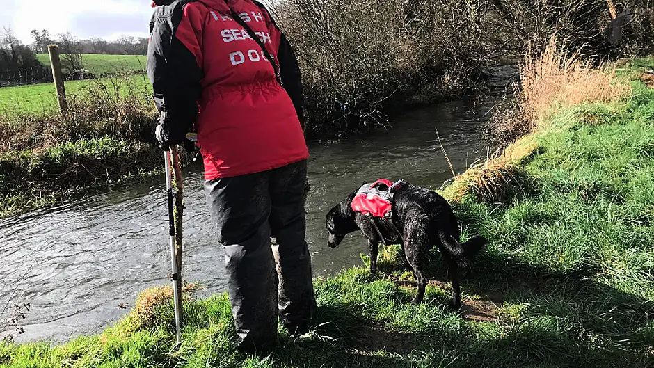 Ballyvourney woman found ‘safe and well' after search operation Image