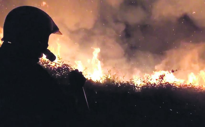 Over €1m spent in five years on gorse fires Image