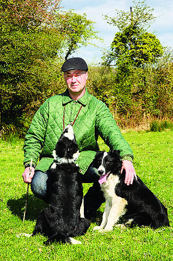 Southern star 2024 border collies