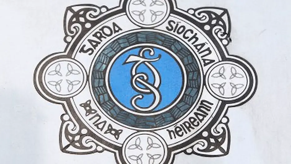 Gardaí ‘didn't even leave a note' Image