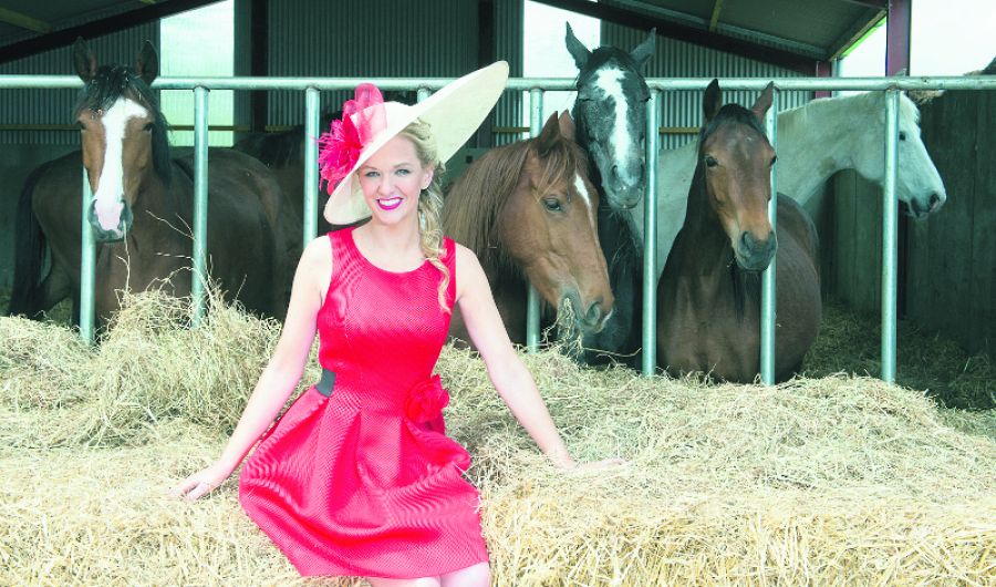 Prize incentives to look  well at Bandon Show Image