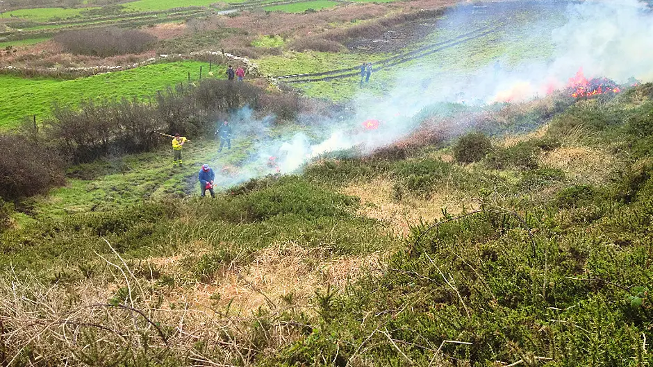 GORSE FIRES SPECIAL: Upland areas must be better managed Image