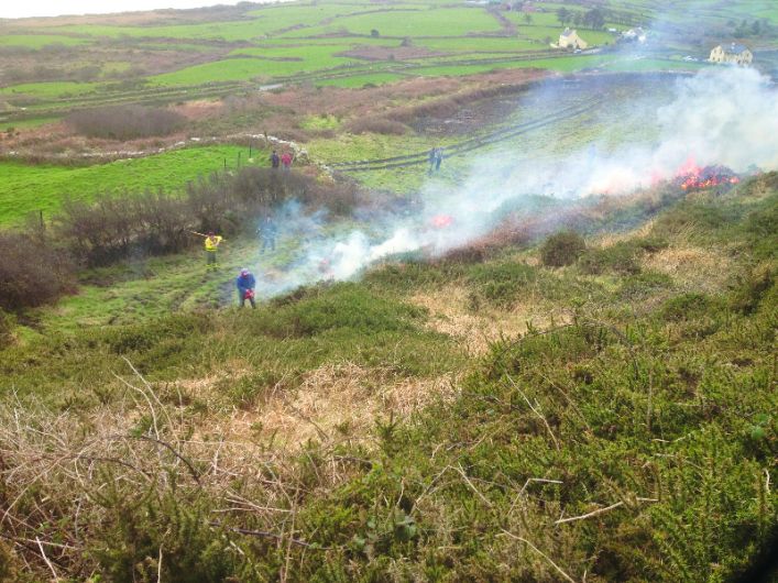 GORSE FIRES SPECIAL: Upland areas must be better managed Image
