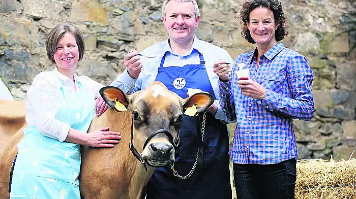 Glenilen gets  major UK yoghurt deal Image