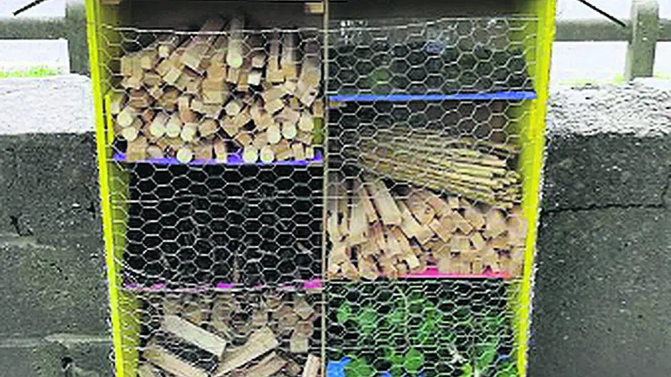 ‘Bug' interest as Bandon's new 6-star insect hotel grows legs Image