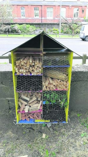 ‘Bug' interest as Bandon's new 6-star insect hotel grows legs Image