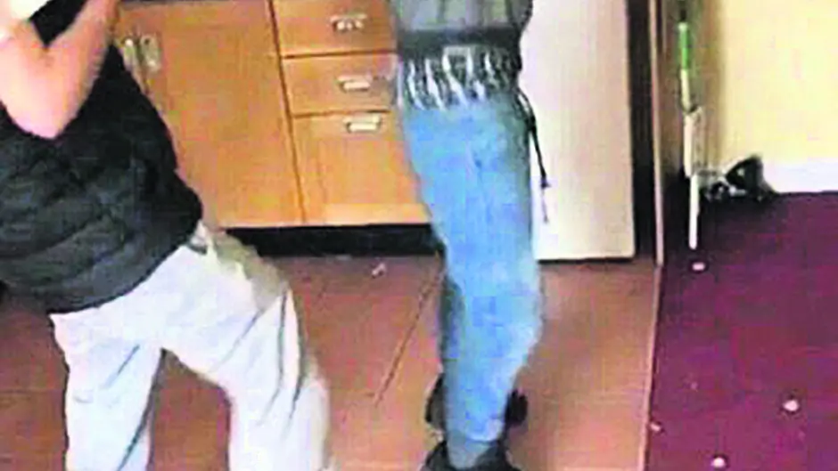Gardaí given video of duo with dead porpoise Image