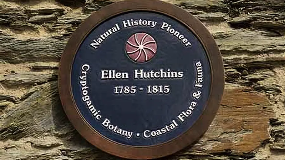 trail in honour of Bantry's Ellen Image