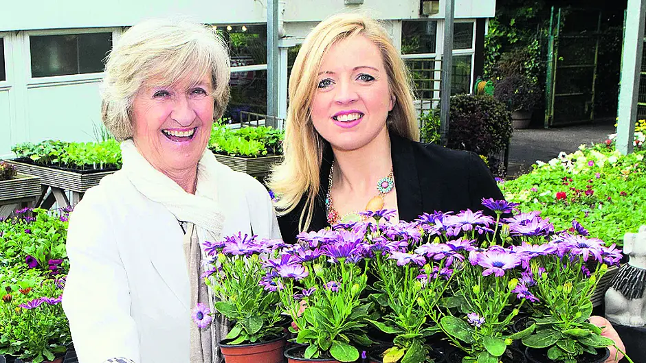 Cope's fundraisers are their unsung heroes Image