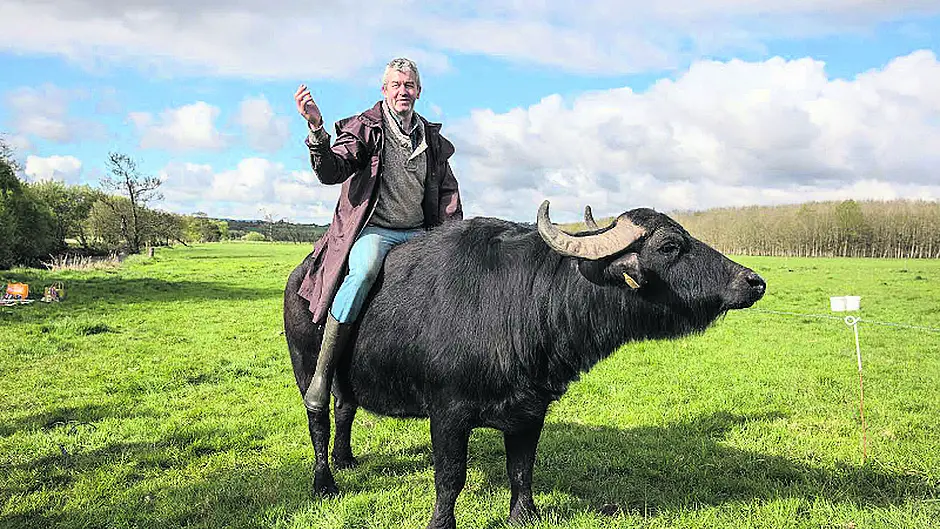 Have you ‘herd' about Aldi's new Buffalo Boy? Image