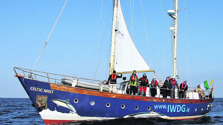 Haughey's former yacht is on a voyage of discovery around coast Image