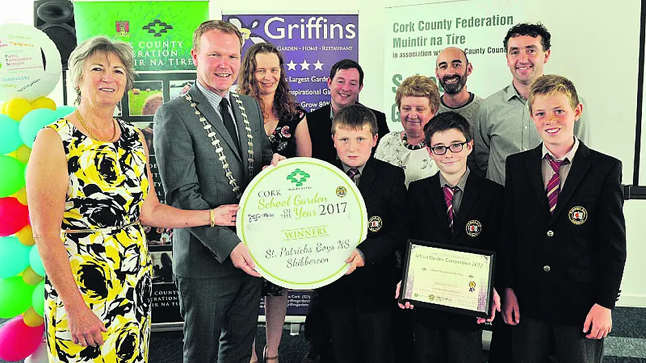 Another award for Skibb school's geodome garden Image