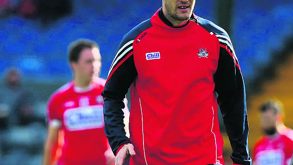 Sheehan helping Rebels plot Kingdom's downfall Image