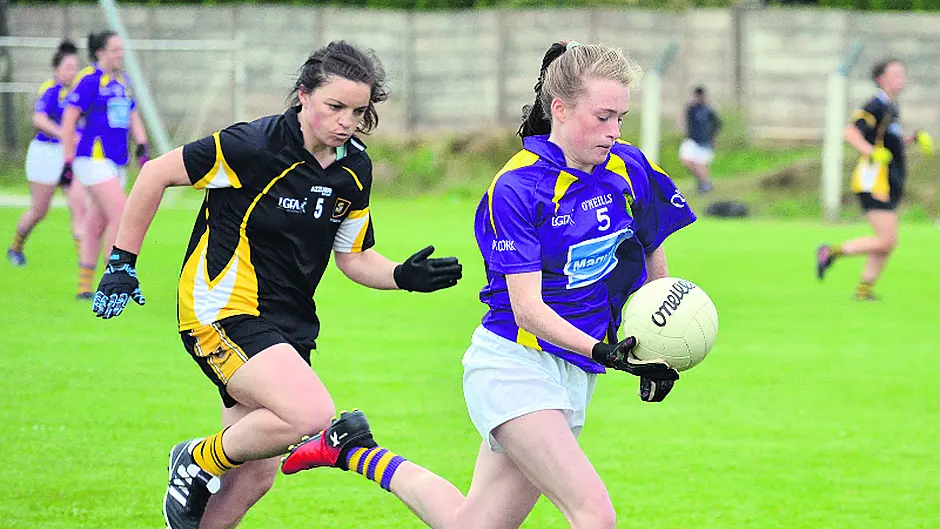 Five-star West Cork highlight credentials Image