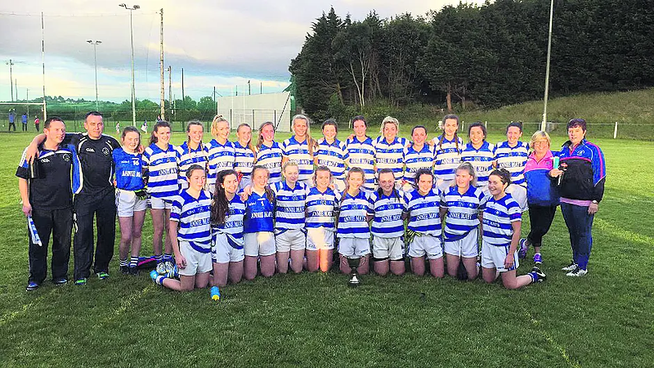 Haven ladies capture first county title Image