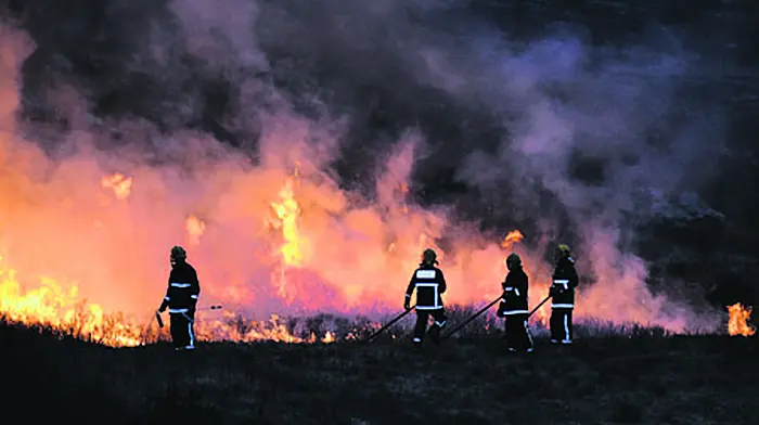 Downturn in number of trained  firefighters retained by Council Image
