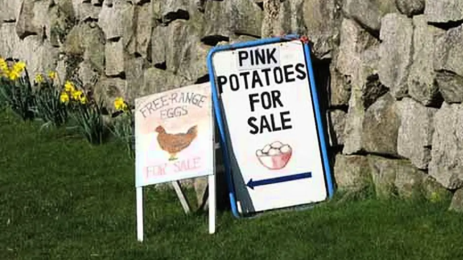 Council targets hazardous adverts Image