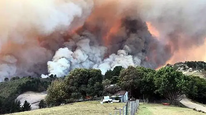 West Cork couple describe the fire that destroyed their South African home Image