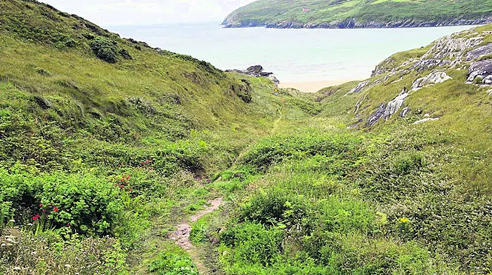 Welcome access to Chimney Cove Image