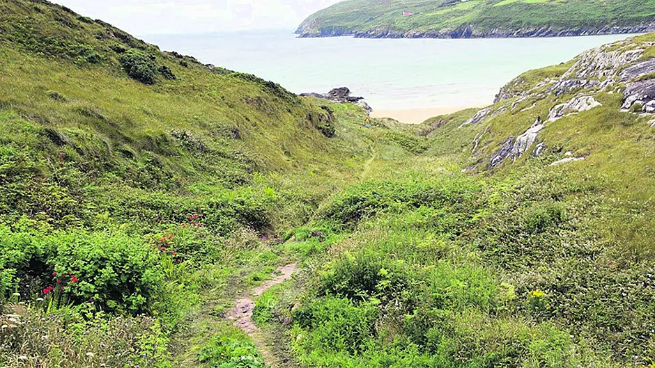 Welcome access to Chimney Cove Image